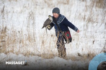 Алматыда құсбегіліктен Азия чемпионаты өтті