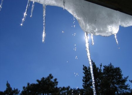 Күн жылынады: Алдағы күндері ауа райы қандай болады?