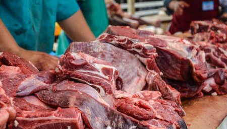 Қазақстанда ауыл шаруашылығы өндірісі 3,4 пайызға өскен