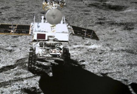 Айдағы алғашқы өсімдік өспей қалды