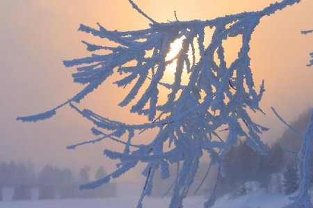 Елімізде алдағы күндері 35-40 градусқа дейін аяз болады