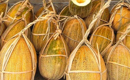 Қыста қауын-қарбыз сатқан кәсіпкер көпті қызықтырып қойды