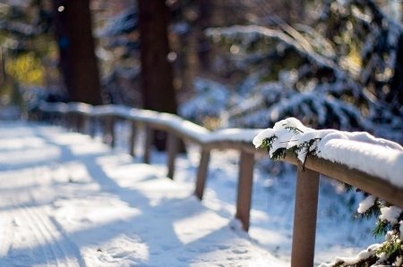 Қазақстанда алдағы тәуліктерде күн жылынады