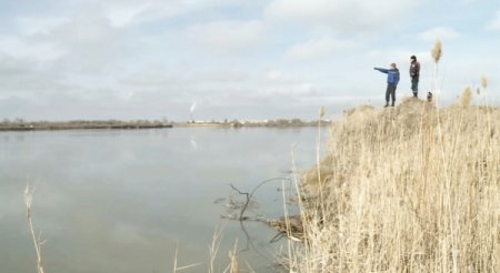 Сырдария өзенінің бойы толық бақылауға алынды