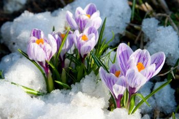 Қазақстанға көктем кеш келеді - \"Қазгидромет\"