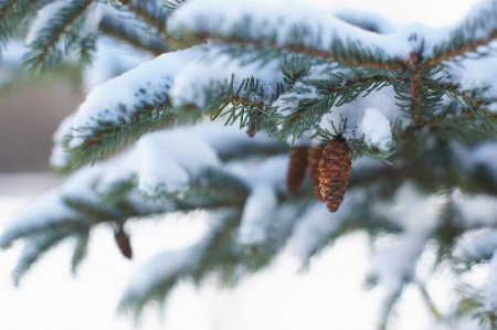 5 наурызда ел аумағының басым бөлігінде жел күшейіп, бұрқасын болады
