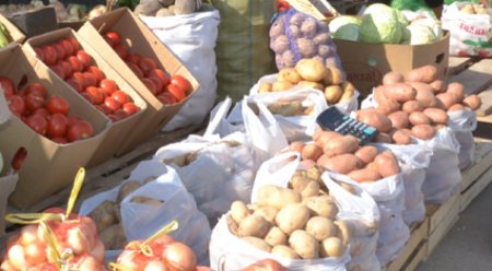 Сырдариялықтар өз өнімін ұсынады