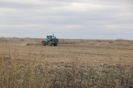 Қармақшыда көктемгі дайындық басталды