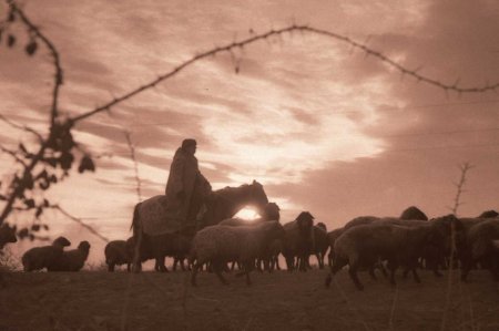 Фототілші Болат Омарәлиевтің бұрын еш жерде жарияланбаған суреті байқауда топ жарды