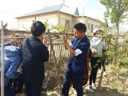 Ерікті оқушылар ардагер қарияларға көмек қолын созуда