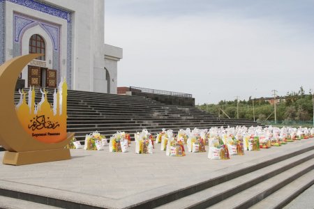 100 мүмкіндігі шектеулі жанға көмек көрсетілді