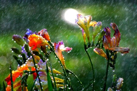 Алдағы үш күнде өткінші жаңбыр жауып, найзағай ойнайды