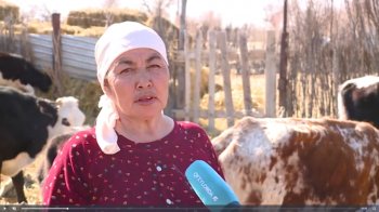 Қызылордада көпбалалы ана кәсіп ашты