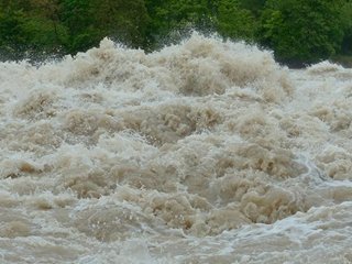 Ауылды су басты (видео)
