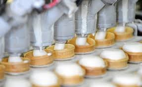 Қызылорда облысында түйе сүтінен балмұздақ өндіріліп жатыр