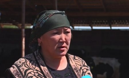 «Бастау»: Қызылордада 3 айда 44 жоба қаржыландырылды