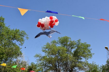 «Шағала» лагерінде жазғы тынығу маусымы басталды