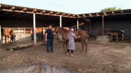 Қызылорда облысында 3900 жұмыс орны ашылады