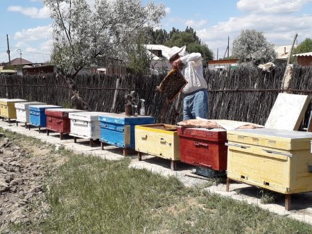 Омарташы болу оңай емес