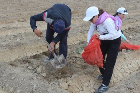 Қармақшыда «Жақаев ізбасарлары» еңбек оқыту лагерінде