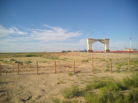 Қазалыда 6 гектар аумаққа сексеуіл көшеттері отырғызылды