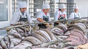 Облыс әкімі Қ.Д.Ысқақовтың облыстық мәслихаттың кезекті сессиясында сөйлеген  сөзі