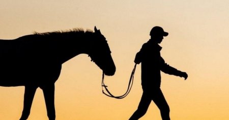 Қызылордада мал ұрлығы көбейіп келеді