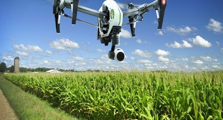 Шиеліде «Аkmaya Smart Farm» ақылды ферма жұмыс жасауда