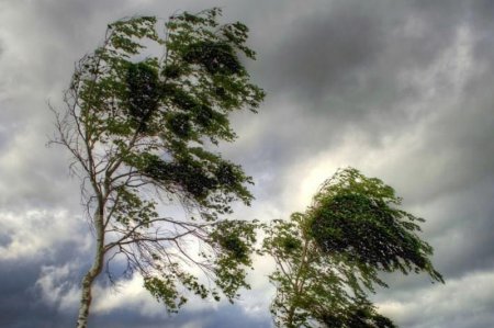 Ертең Қызылорда облысында жел күшейеді