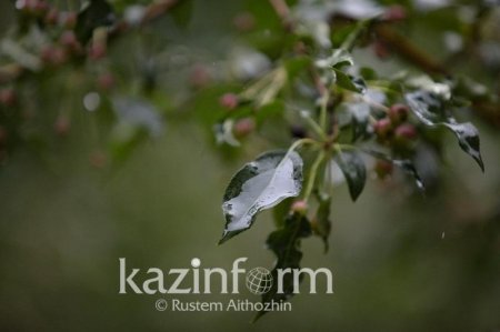 Демалыста Қазақстанның бірқатар өңірінде күн салқындайды