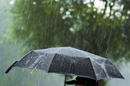 Еліміздің басым өңірінде жаңбыр жауып, найзағай ойнайды