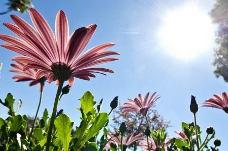 Демалыста еліміздің басым бөлігінде күн қайта ысиды