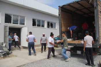 Сыр жамағаты Арыспен бірге