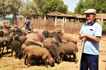 Даму кілті – кәсіпте