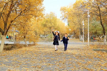 Әріптесіміз көрме жеңімпазы атанды