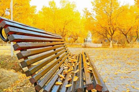 Әріптесіміз көрме жеңімпазы атанды