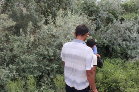 Сора еккендер ұсталды