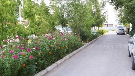 Қаланың «Үздік» ауласы белгілі болды