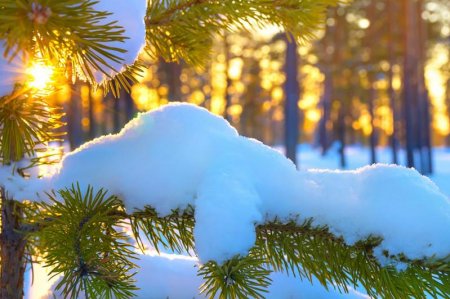 Қазақстанда қыс қандай болады?