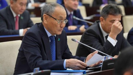 \"Келесі жыл, келесі жыл\" деп өтірікші болып біттім – депутат