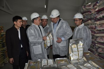 «Jas Otan» жастар қанатының төрағасы облыс жастарымен кездесті