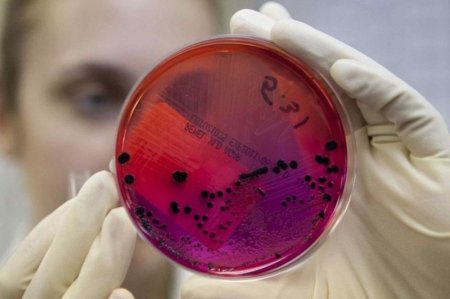 Алматыда тағы 3 коронавирус ошағы анықталды