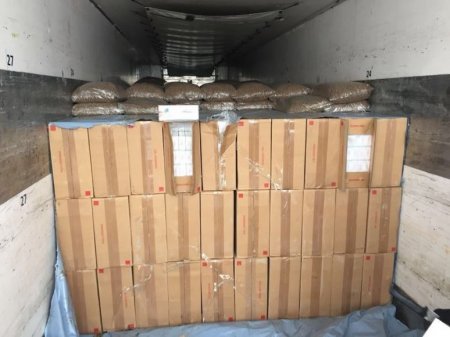 Қызылордада антисептиктерді заңсыз сатқандар анықталды