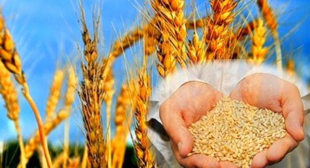 Ел еңбектен қол үзбейді, берекелі іске үндейді